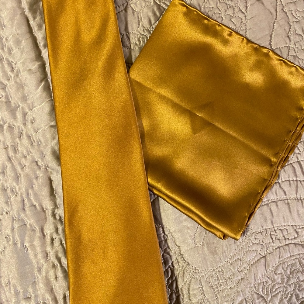 Brioni Silk Tie and Matching Pocket Square